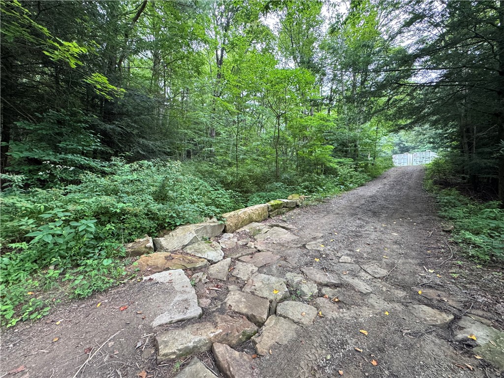 196 Grimm Road
