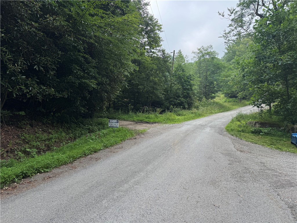 196 Grimm Road