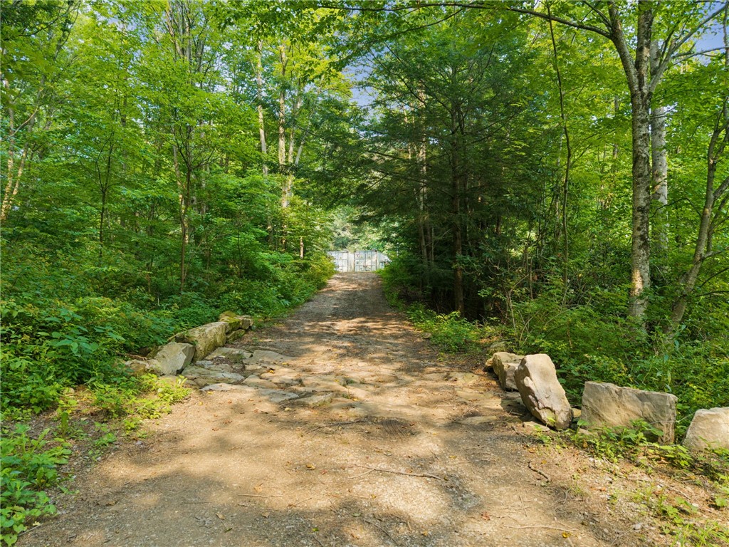 196 Grimm Road