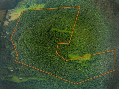 Vacant Land For Sale - 196 Grimm Road<br/> Saltlick Twp, PA 15456