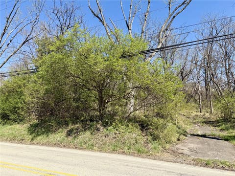 Photo for 329 Mckee Rd