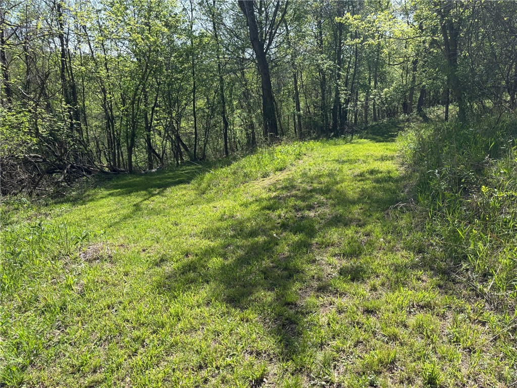 953 Fayette City Rd Rd, Fayette City, Pennsylvania image 48