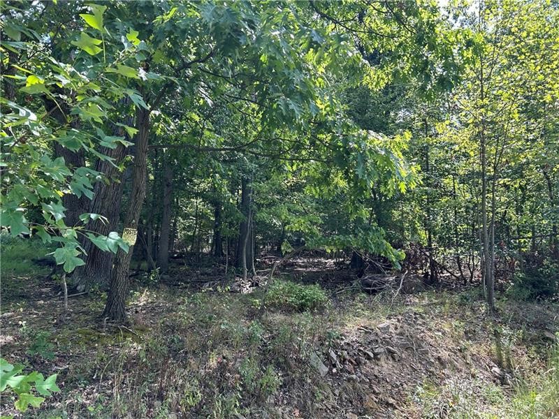 Photo 1 of 1 — 0 6th St, South Connellsville, PA 15425
