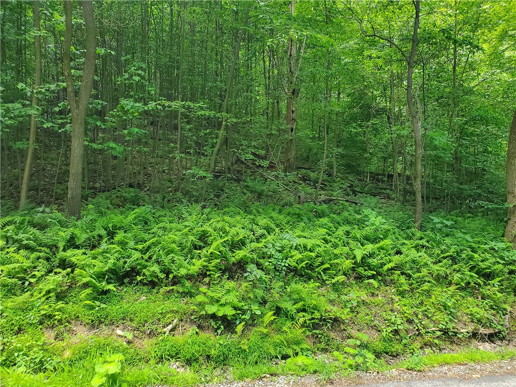 Bullskin Twp, Pennsylvania 15610, United States, ,Residential,Active,54970