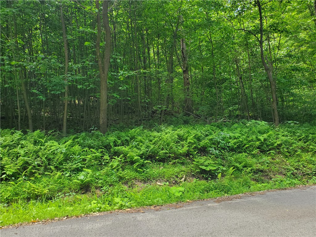 Bullskin Twp, Pennsylvania 15610, United States, ,Residential,Active,54970