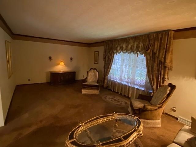 43 School Street, Clarksville, Pennsylvania image 10