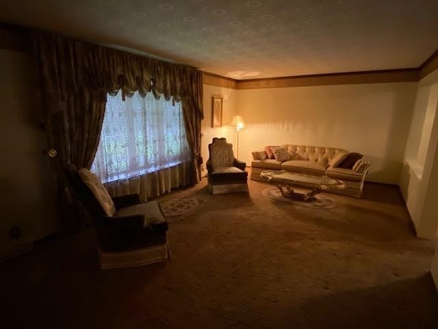 43 School Street, Clarksville, Pennsylvania image 11