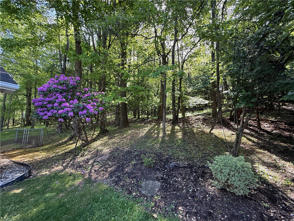 53 Vista Drive