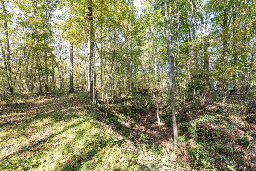 3256 William Flynn Highway