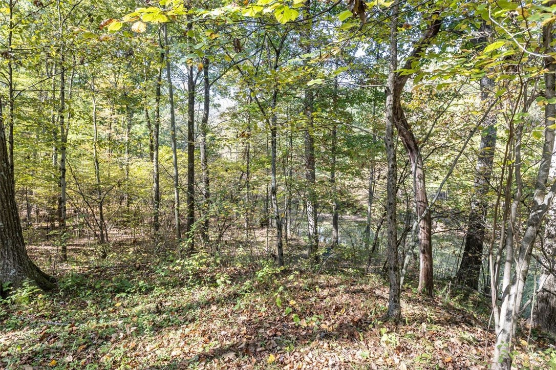 3256 William Flynn Highway