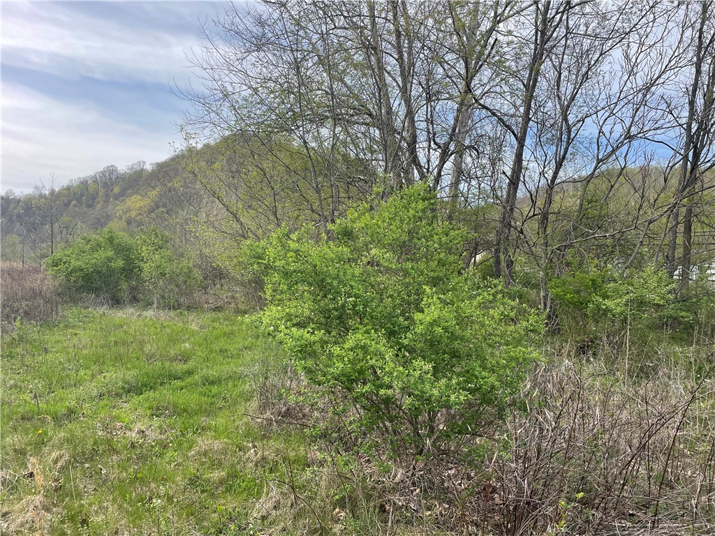 Main, Clarksville, Pennsylvania image 6