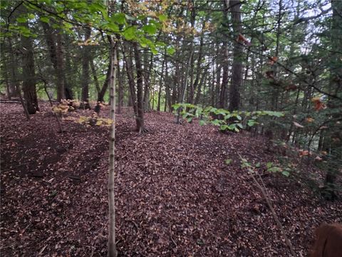 Photo of 000 Barclay Hill Rd, Industry, PA 15009 (MLS # 1724460)