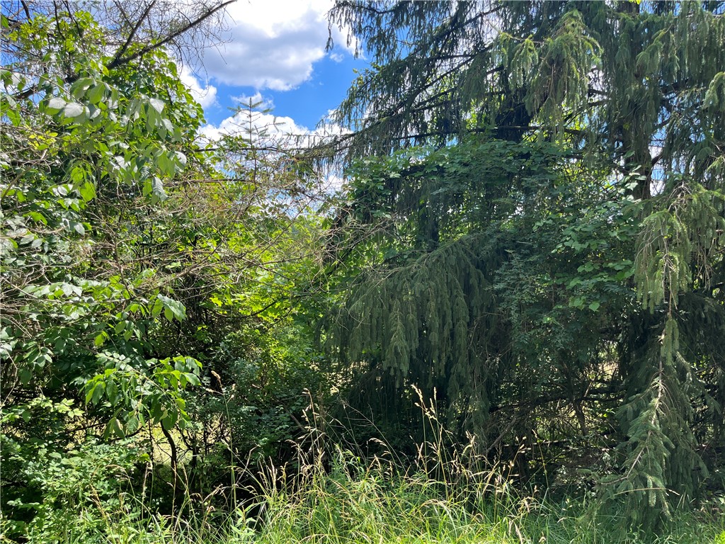 000 Calhoun Drive