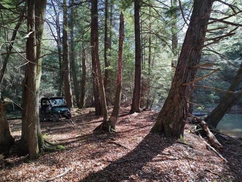 Sligo, Pennsylvania 16255, United States, ,Residential,Active,252695