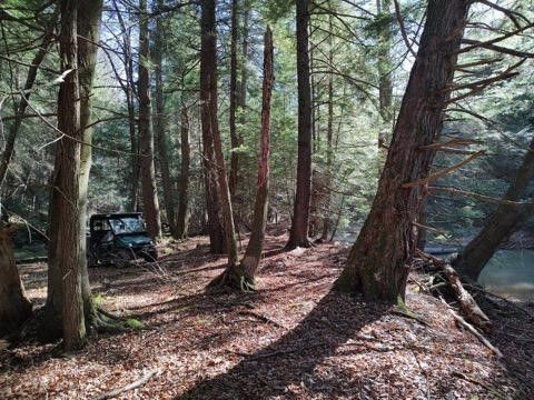 000 Laurel Road Sligo PA 16255