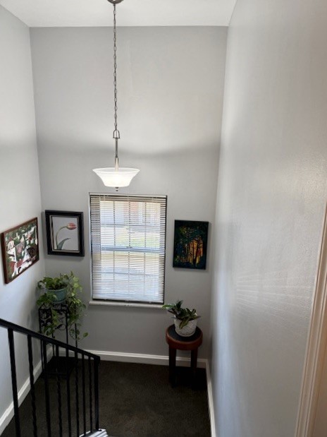 466 Cannongate Dr, Monroeville, Pennsylvania image 19