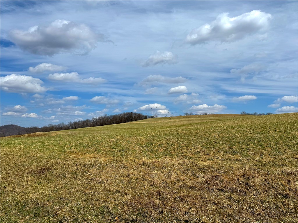 604 Loyalhanna Dam Rd Rd, Loyalhanna, Pennsylvania image 6