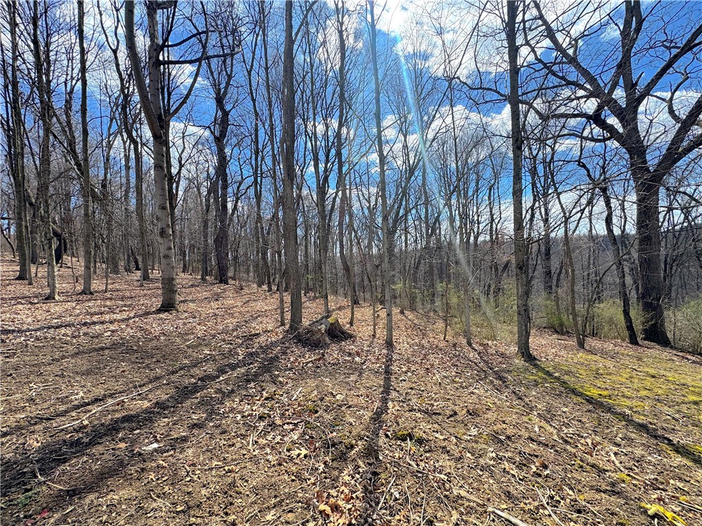 604 Loyalhanna Dam Rd Rd, Loyalhanna, Pennsylvania image 12