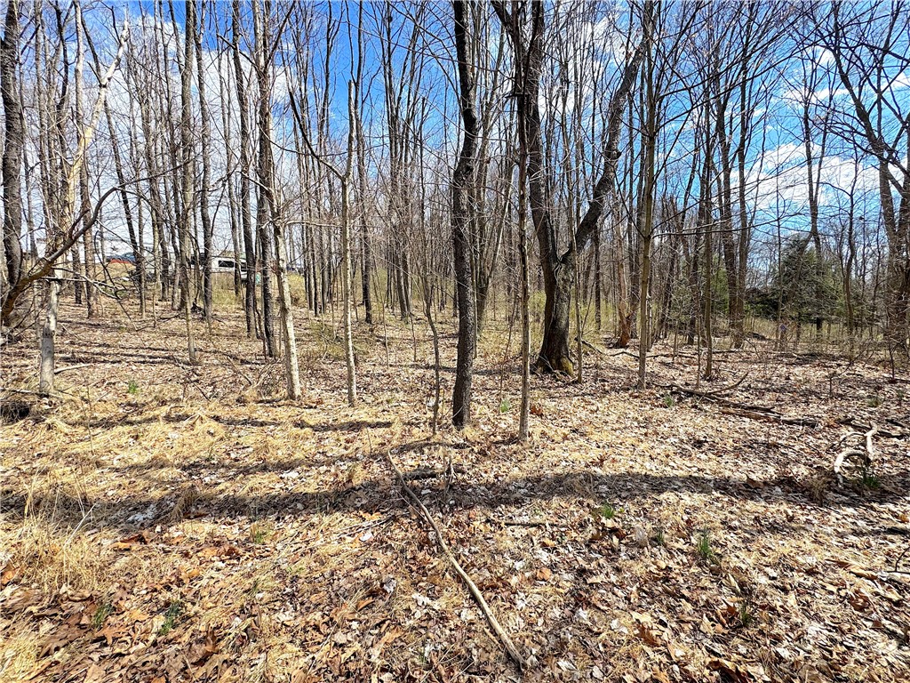 604 Loyalhanna Dam Rd Rd, Loyalhanna, Pennsylvania image 14