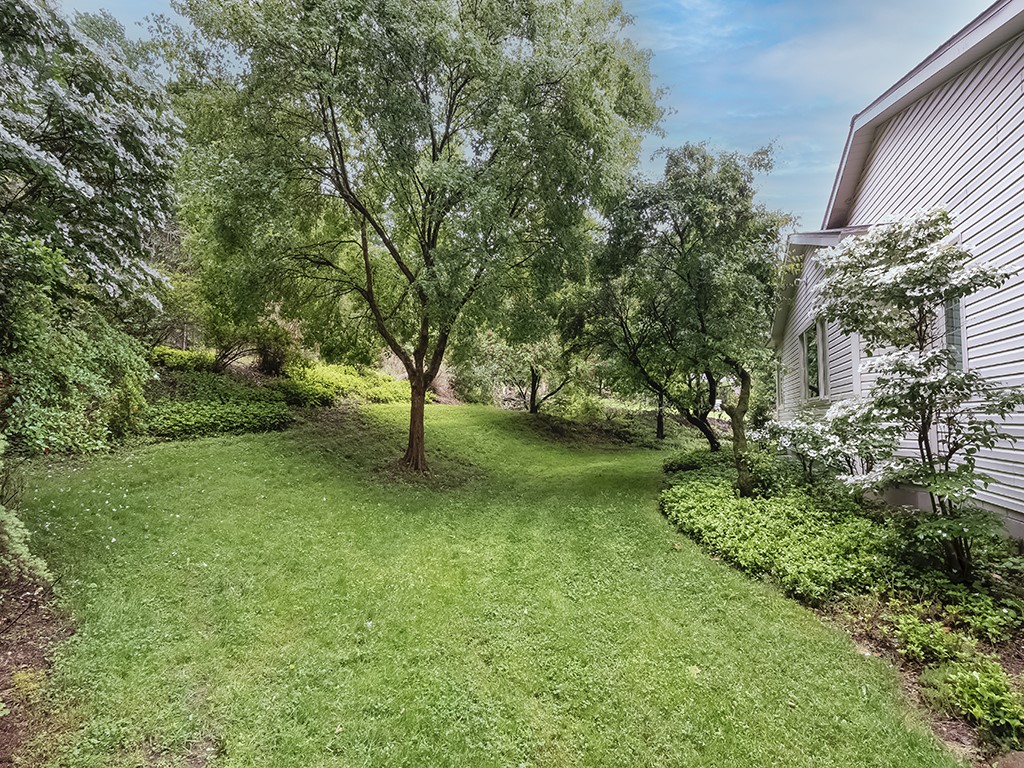 305 Ivy Drive
