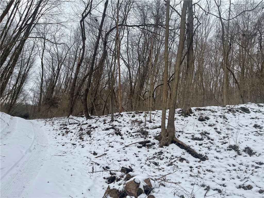 130 Wood