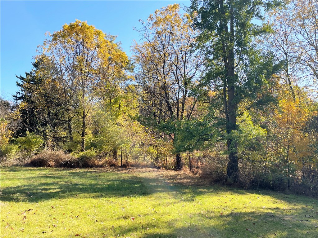 919 HARPER ROAD