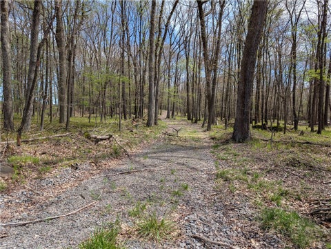 Photo for 435 Daubenspeck Rd