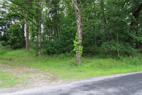 Photo of 0 Campground Rd, West Middlesex, PA 16159 (MLS # 1761020)