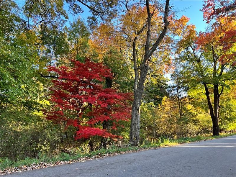 0 Marion Road