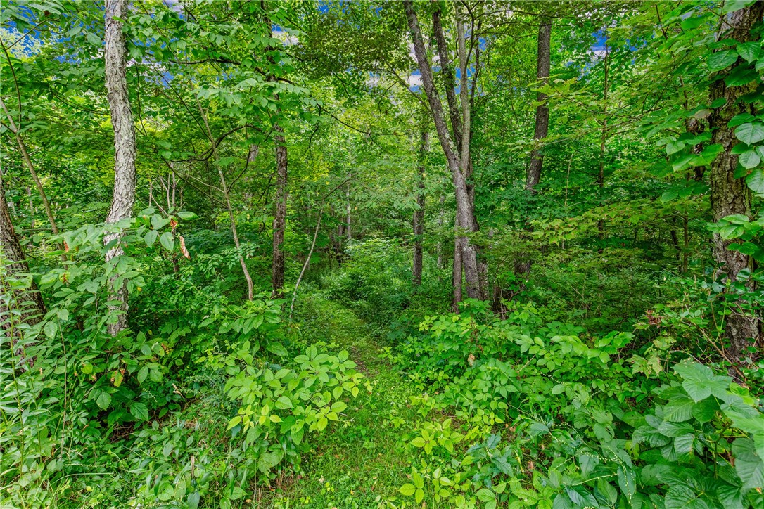 Addison Twp, Pennsylvania 15424, United States, 1 Bedroom Bedrooms, ,2 BathroomsBathrooms,Residential,Active,179753