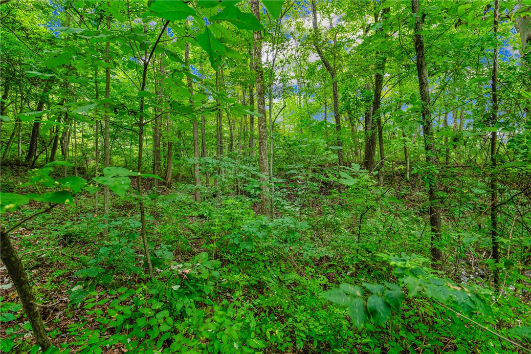 Addison Twp, Pennsylvania 15424, United States, 1 Bedroom Bedrooms, ,2 BathroomsBathrooms,Residential,Active,179753