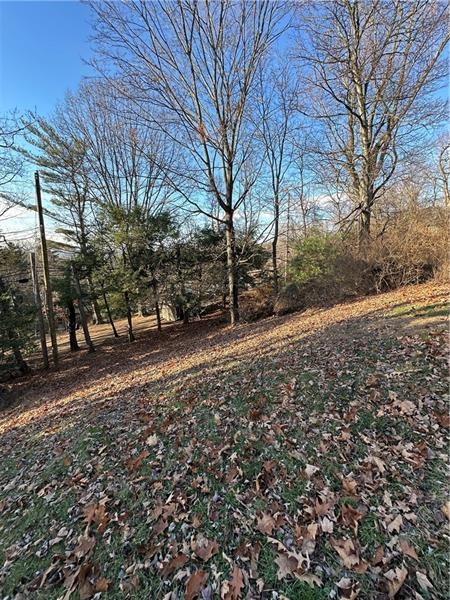 114 Grienbriar Dr. Dr, Carnegie, Pennsylvania image 44