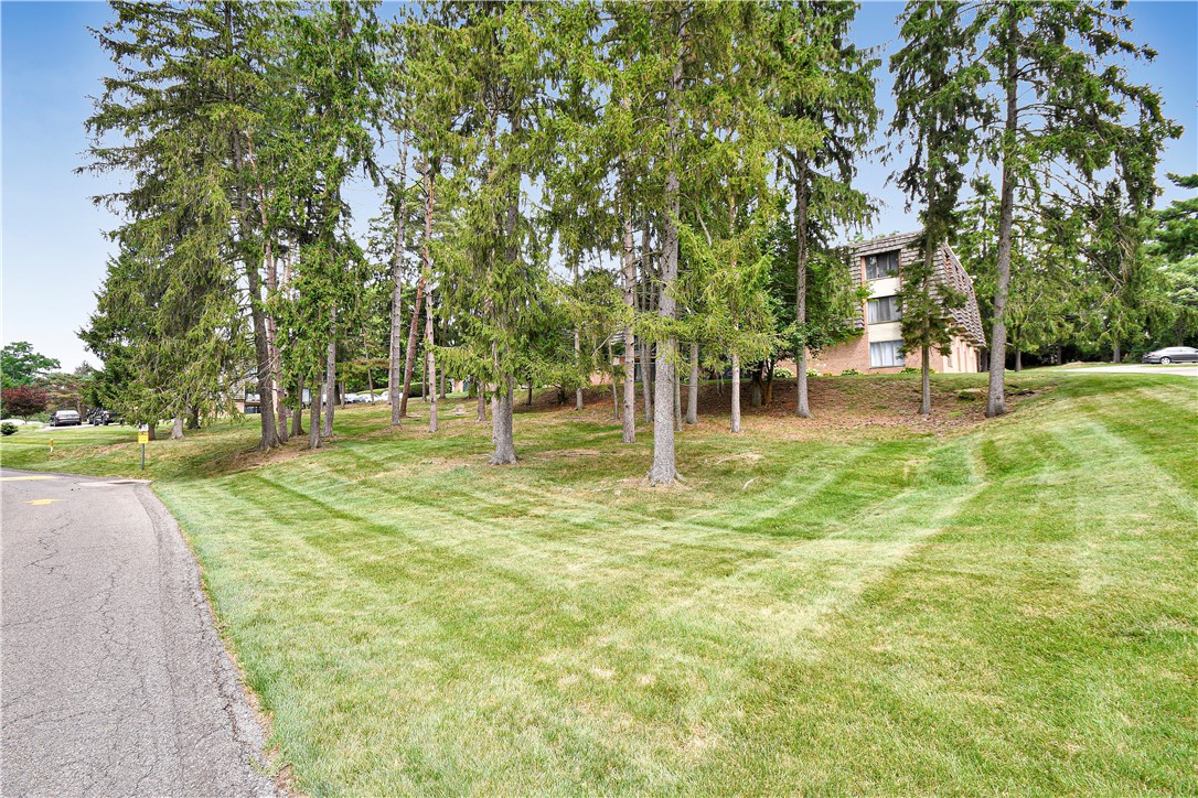 331 Forest Green Dr