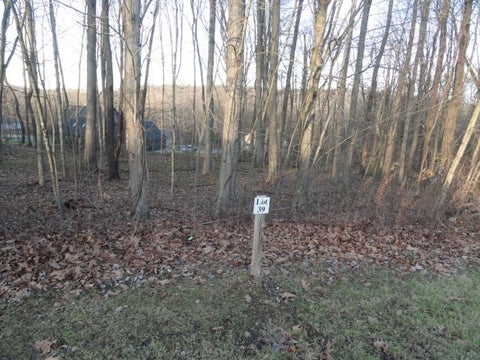 Photo for Lot #39 Weathervane Dr