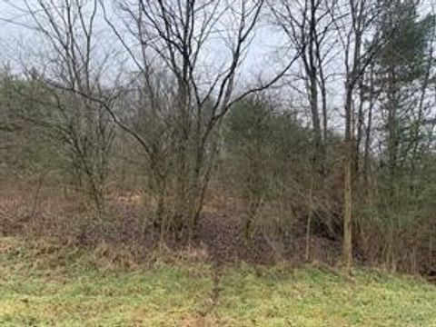 Photo of Lot 6 Ringertown Road, Export, PA 15632 (MLS # 1751928)