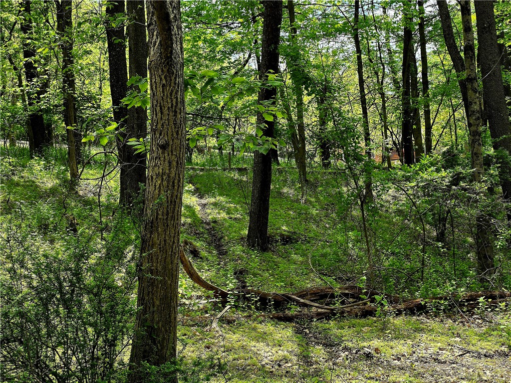 Lot 136 Brokers Ln