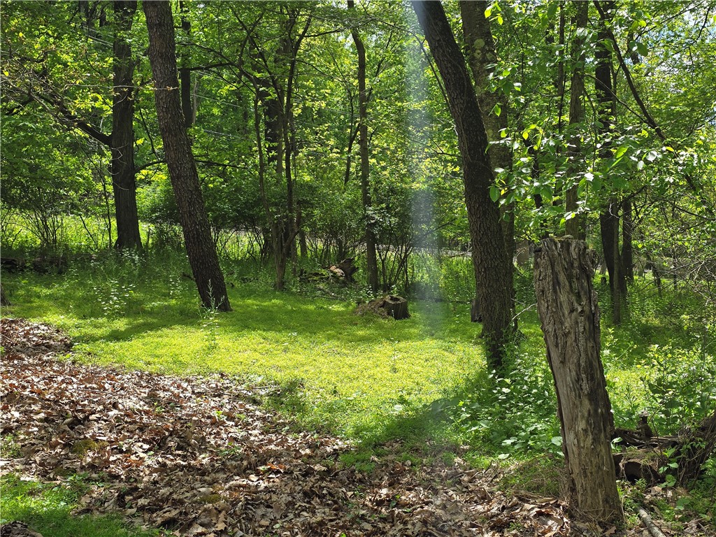 Lot 136 Brokers Ln
