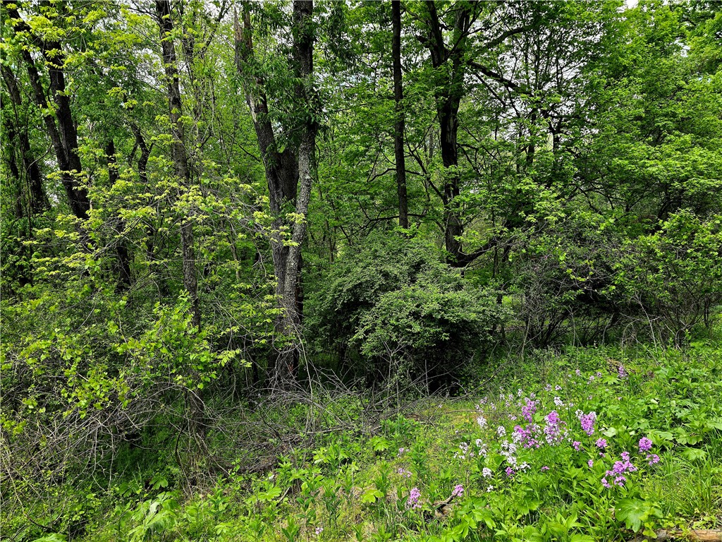 Lot 136 Brokers Ln