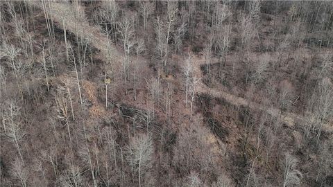 Photo of 64 Acres Along Gallagher &amp; Loop Roads, Dayton, PA 16222 (MLS # 1743137)