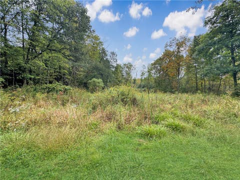 Photo for Lot 2 Sylvania Road