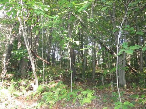 Lot228R Shearsburg Rd Allegheny Twp PA 15068