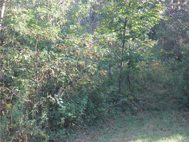 Lot228R Shearsburg Rd