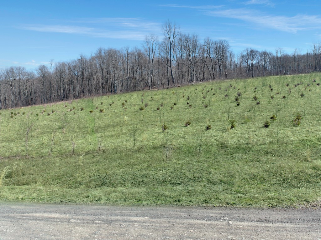 0 Fallen Timber Rd