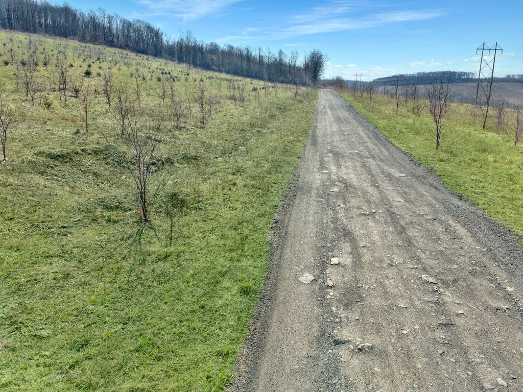 0 Fallen Timber Rd
