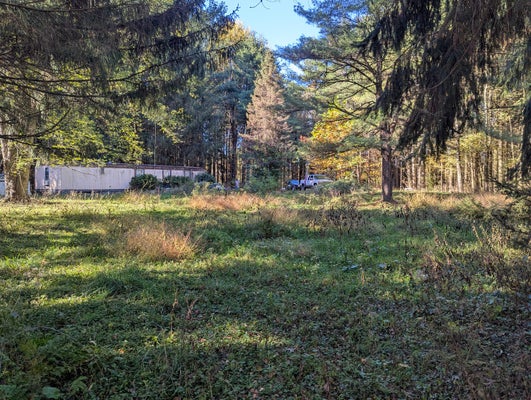 156 CORRY RD, SLIPPERY ROCK, PA 16057 - Image a72349e9f0ad9c767a3ecf0362f1c5e4/1698505129