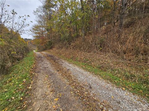 Photo of 0 Knob Run Rd, New Freeport, PA 15352 (MLS # 1727240)