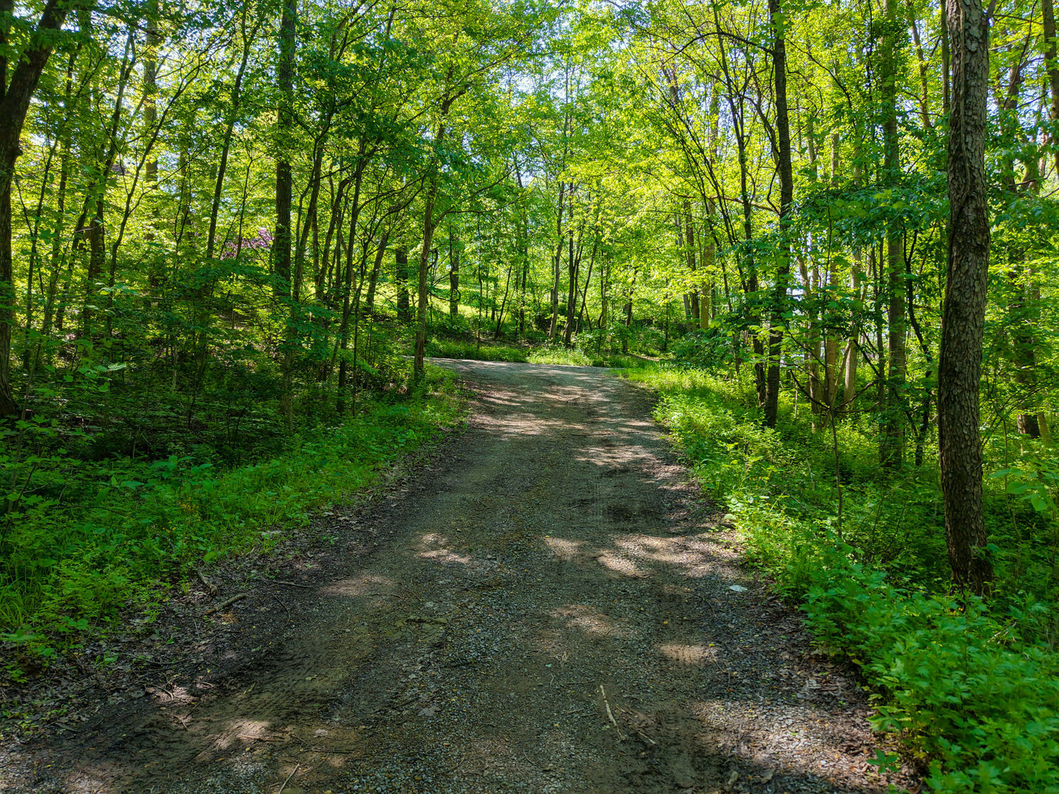 637 American School Road