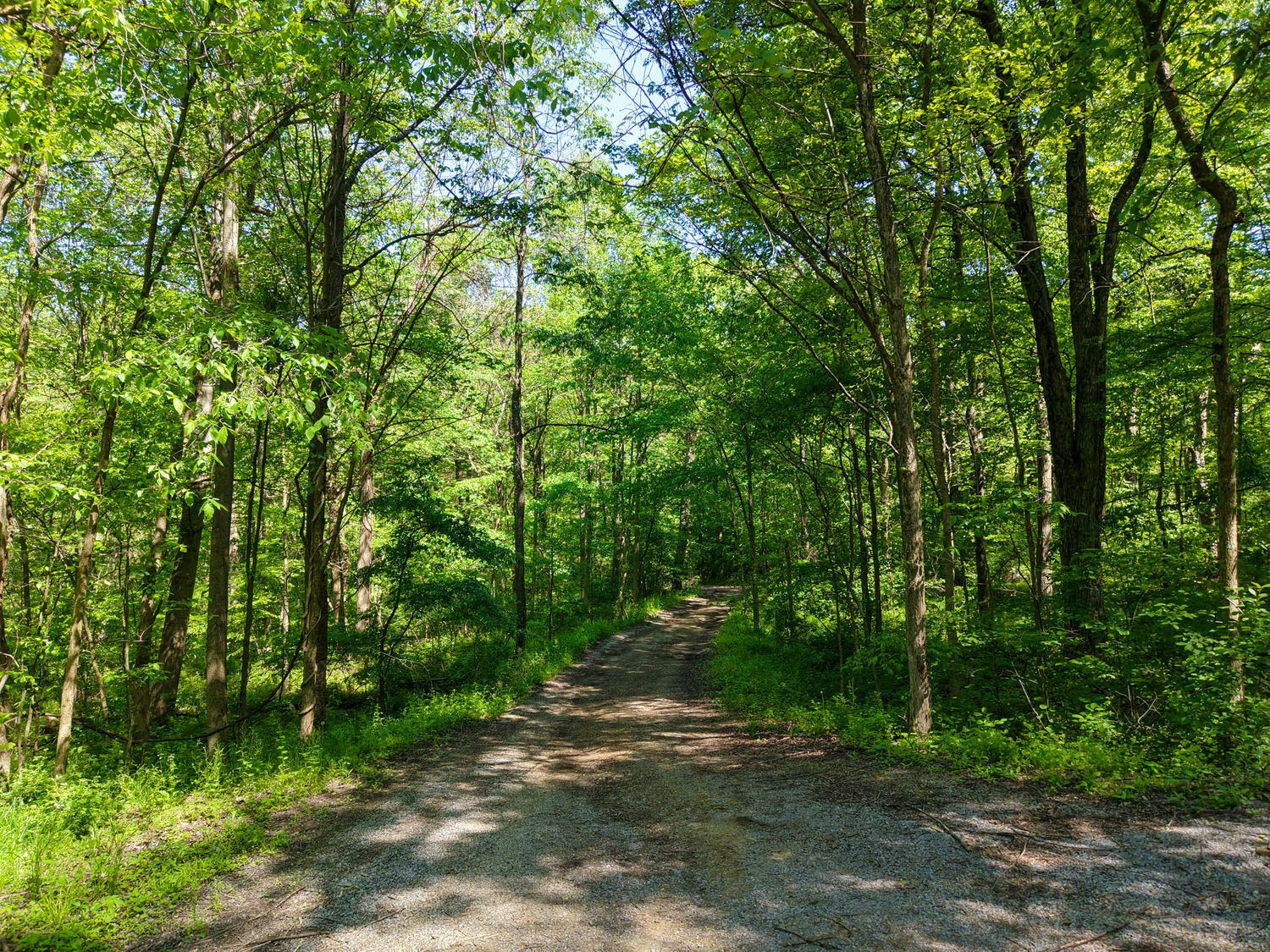 637 American School Road