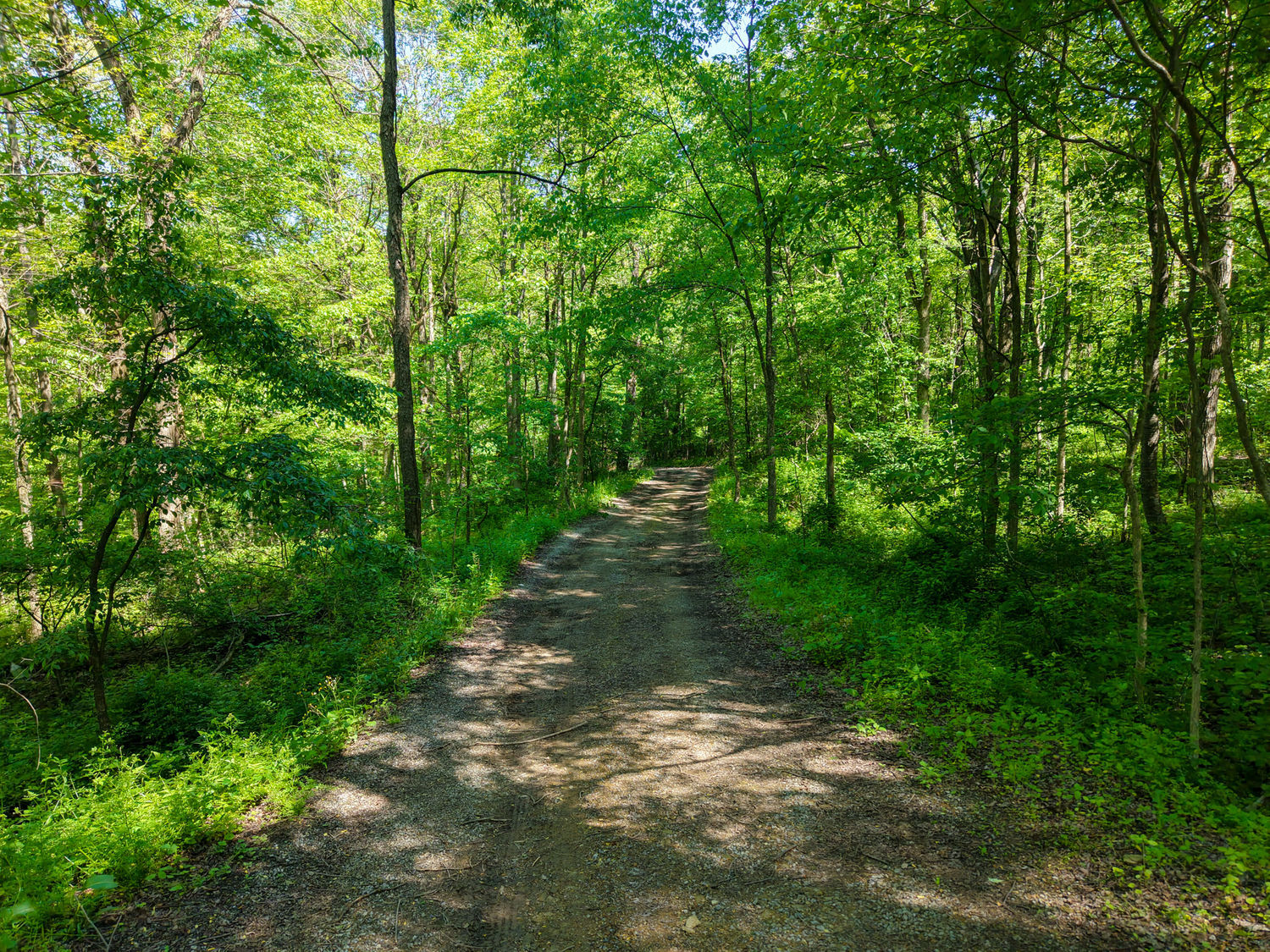 637 American School Road