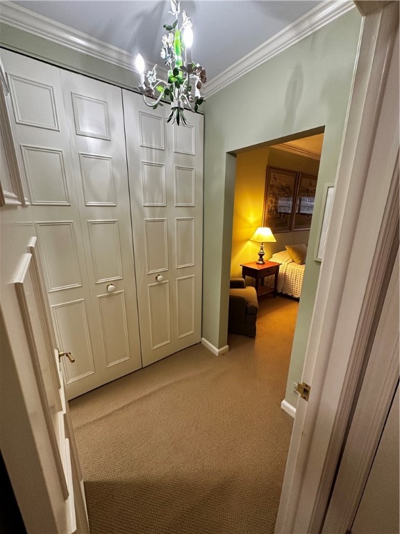 307 S Dithridge St #801/901, Oakland, Pennsylvania image 28